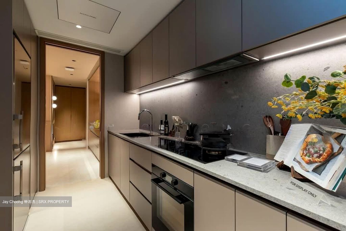 Dunearn Road (D11), Condominium #559103171